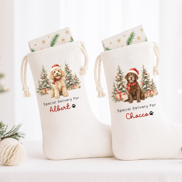 Personalised Pet Christmas Stocking or Santa Sack – Dog & Animal Designs