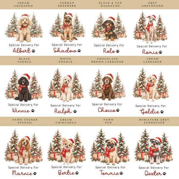 Personalised Pet Advent Calendar | Custom Dog & Cat Portrait