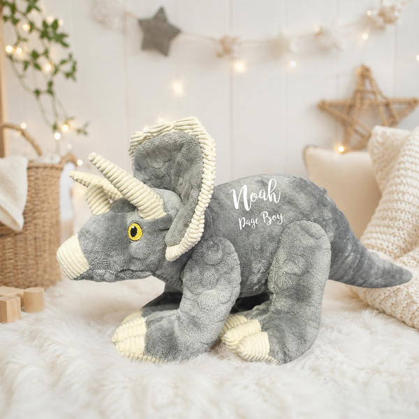 Personalised Eco Friendly Grey Trex Dinosaur Gift for Page Boy