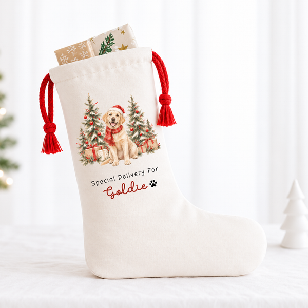 Personalised Pet Christmas Stocking or Santa Sack – Dog & Animal Designs