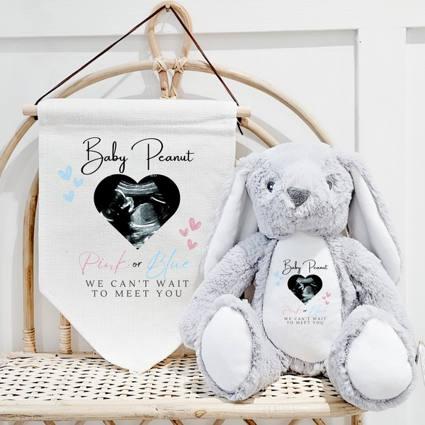 Personalised Gender Reveal Soft Toys