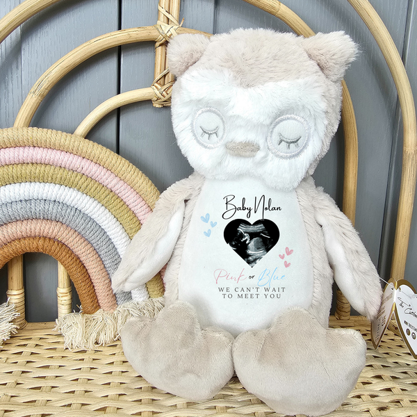 Personalised Gender Reveal Soft Toys