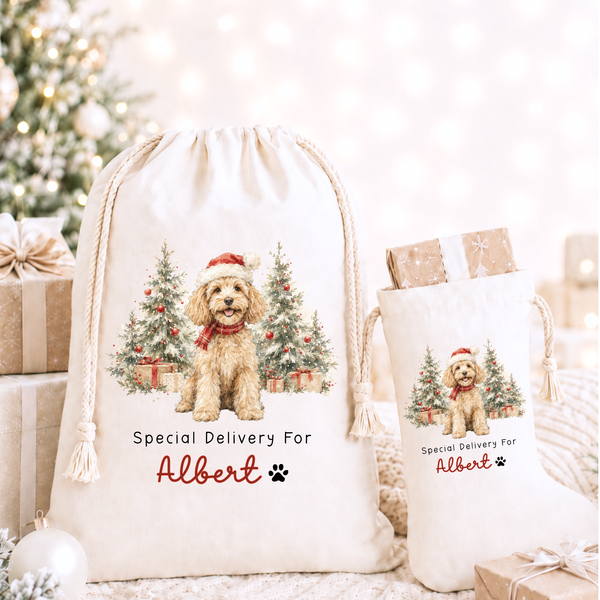 Personalised Pet Christmas Stocking or Santa Sack – Dog & Animal Designs