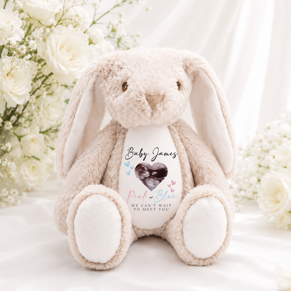 Personalised Gender Reveal Baby Scan Soft Toys