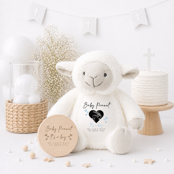 Personalised Gender Reveal Baby Scan Soft Toys