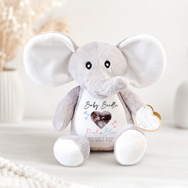 Personalised Gender Reveal Baby Scan Soft Toys