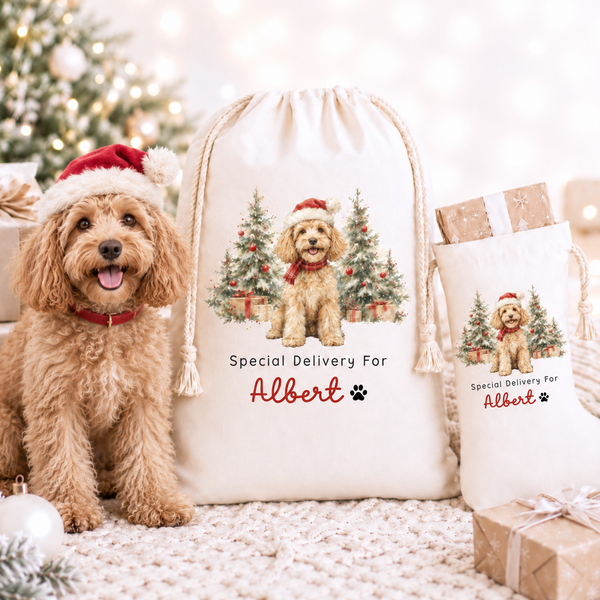 Personalised Pet Christmas Stocking or Santa Sack – Dog & Animal Designs