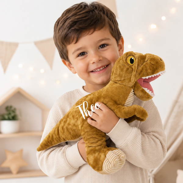 Personalised Eco Friendly Brown Dinosaur for Page Boys