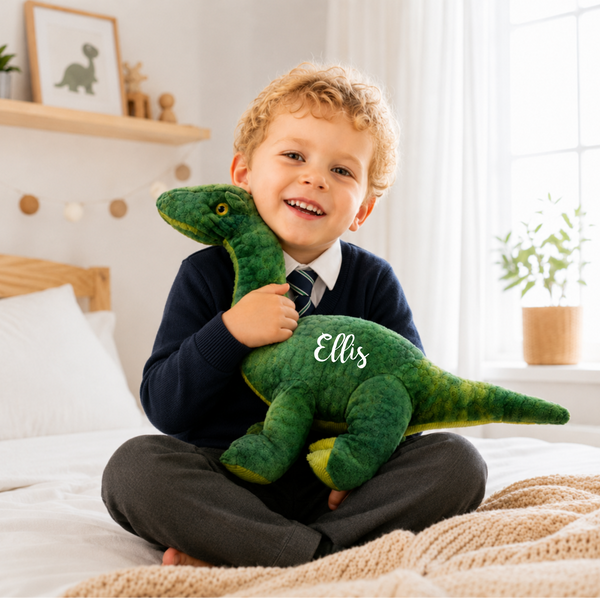 Personalised Eco Friendly Dinosaur Gift for Page Boy Proposals