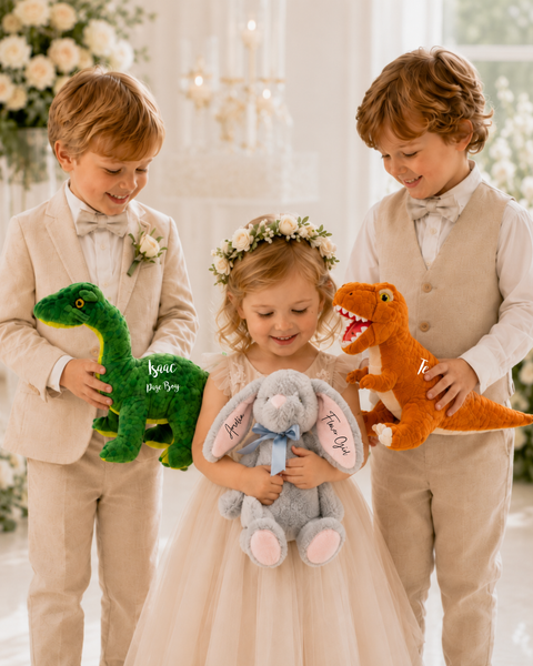 Personalised Eco Friendly Brown Dinosaur for Page Boys