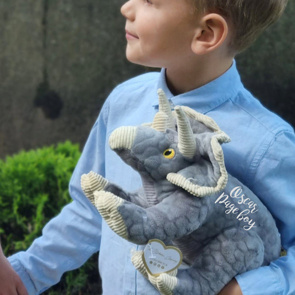 Personalised Eco Friendly Grey Dinosaur