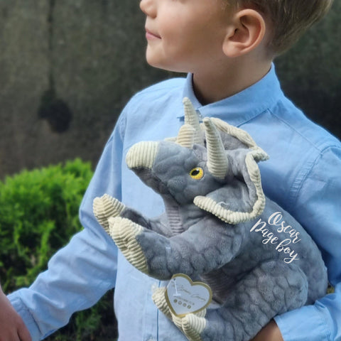 Personalised Eco Friendly Grey Dinosaur Soft Toy for Birthdays