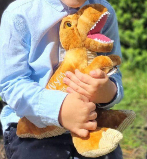 Personalised Eco Friendly Brown Dinosaur for Page Boys