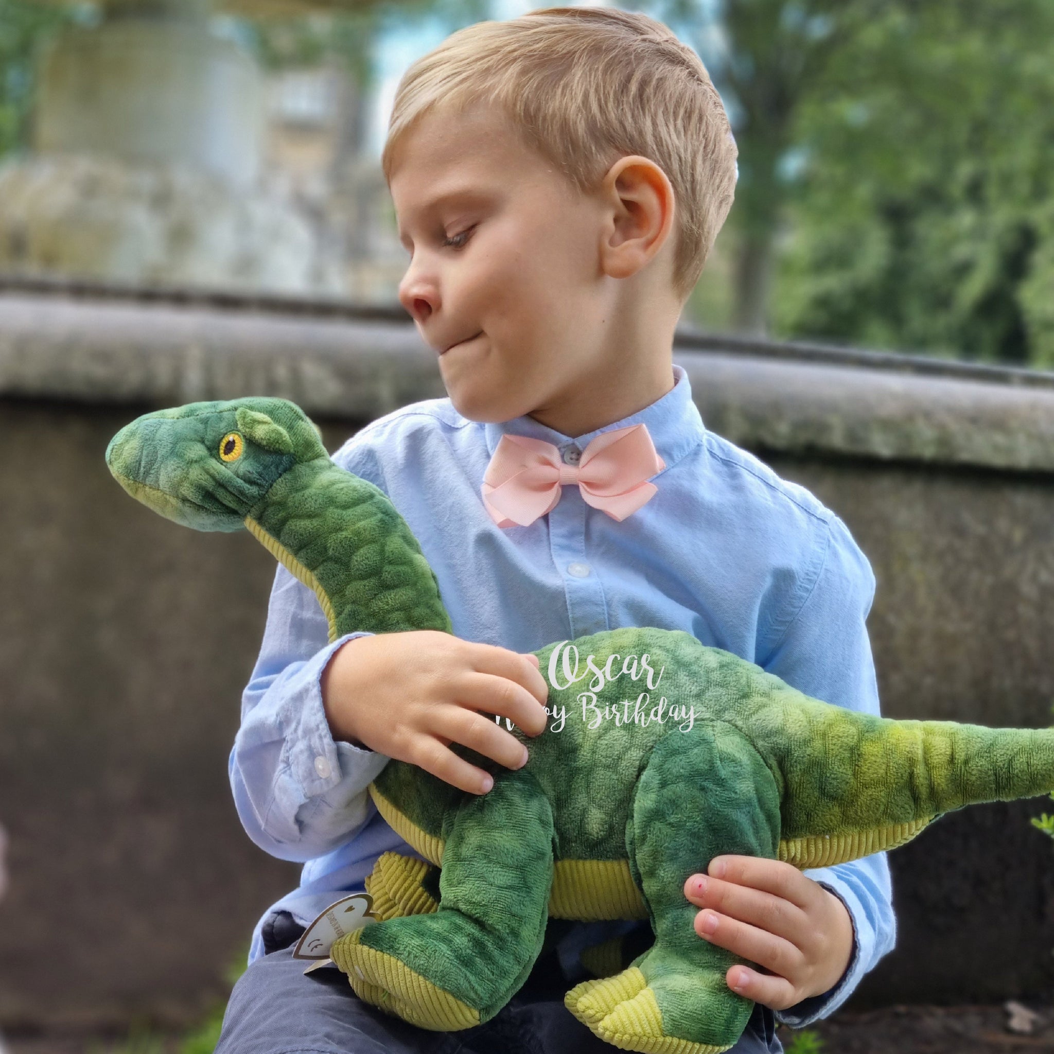 Personalised Green Eco Friendly Dinosaur Birthday Gift