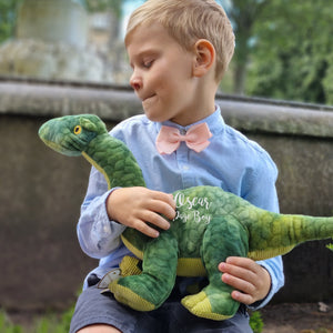 Regalo personalizado de dinosaurio ecológico para propuestas de Page Boy