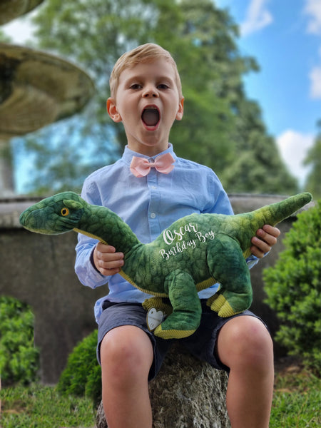 Regalo de cumpleaños personalizado de dinosaurio ecológico verde