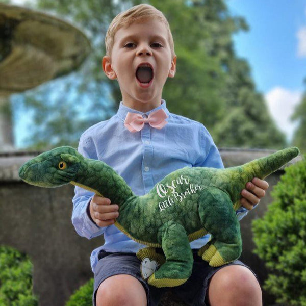 Green Eco Friendly Personalised Dinosaur Brother Gift