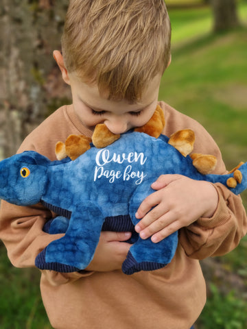 Personalised Blue Eco Friendly Dinosaur Gift for Ring Bearers