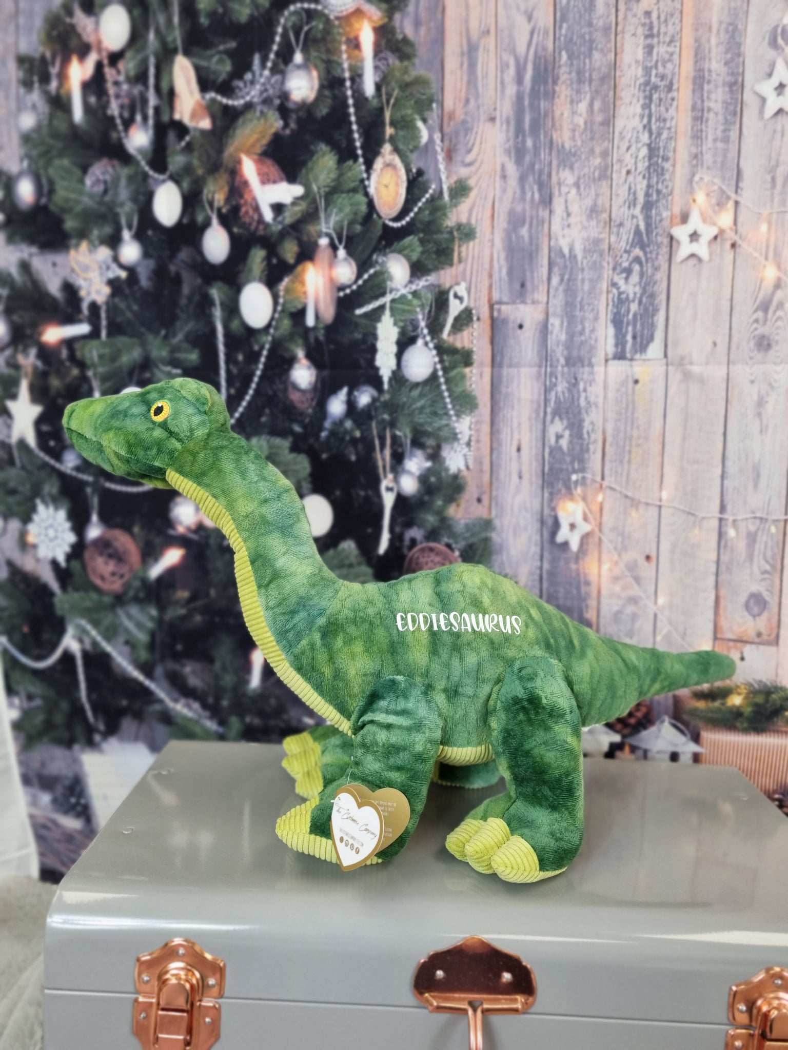Green Eco Friendly Personalised Dinosaur Brother Gift