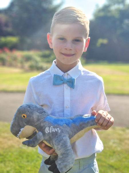 Personalised Eco Friendly Grey Trex Dinosaur Gift for Page Boy