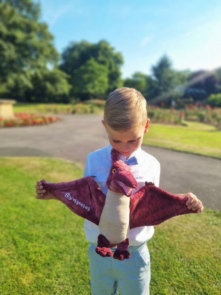 Personalised Eco Friendly Dark Red Pterodactyl Dinosaur Gift for Page Boy