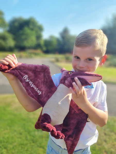 Personalised Eco Friendly Dark Red Pterodactyl Dinosaur Gift for Page Boy