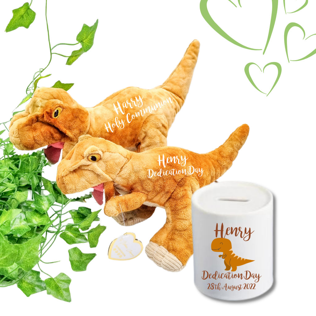 Eco Friendly Brown Dinosaur and MoneyBox Bundle Gift for Christenings
