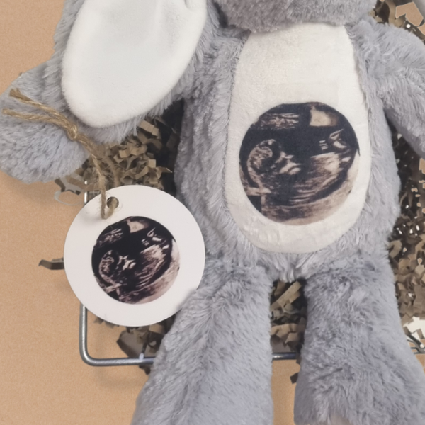 Personalised Baby Scan Bunny
