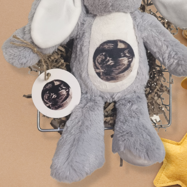 Personalised Baby Scan Ornament