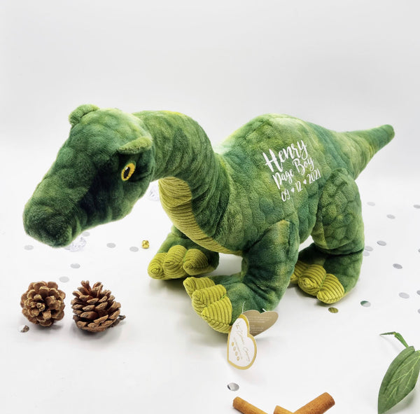 Regalo personalizado de dinosaurio ecológico para propuestas de Page Boy