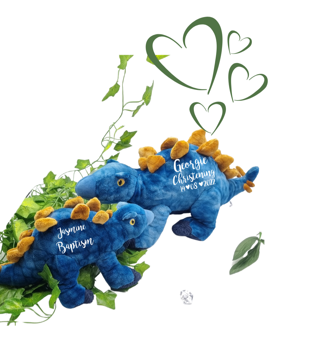 Eco Friendly Blue Dinosaur Christening Gift