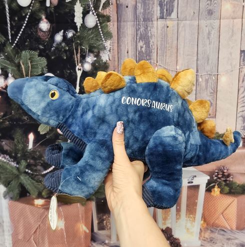 Stegosaurus Christmas Gift Personalised