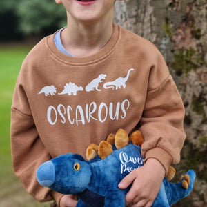 个性化环保毛衣和恐龙套装