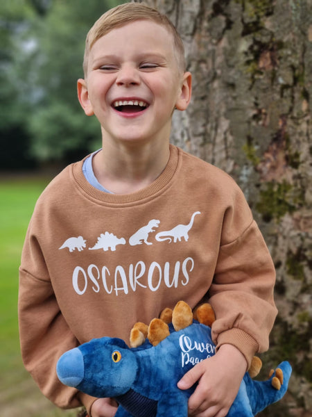 Personalised Eco Friendly Sweater and Dinosaur Bundle