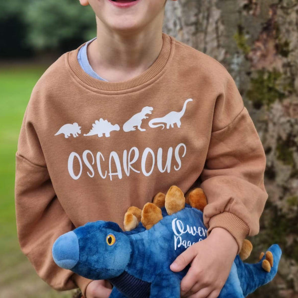 Paquete personalizado de suéter y dinosaurio ecológicos
