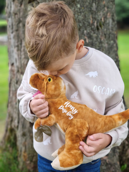 Personalised Eco Friendly Sweater and Dinosaur Bundle
