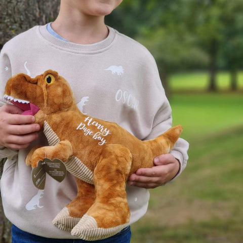 Suéter de dinosaurio natural personalizado