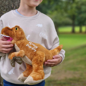 Paquete personalizado de suéter y dinosaurio ecológicos